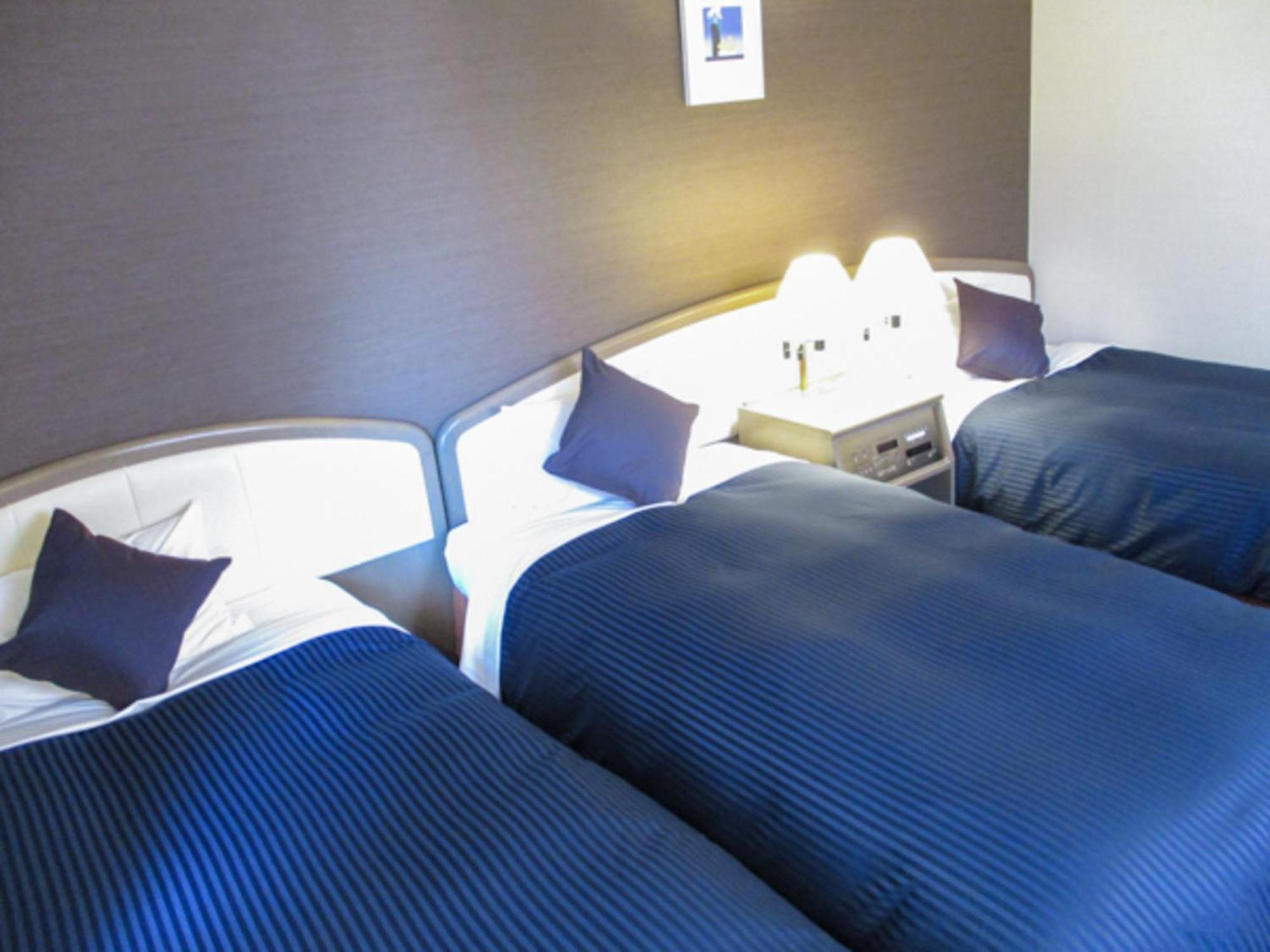 HOTEL LiVEMAX BUDGET SAPPORO Sapporo Exterior foto